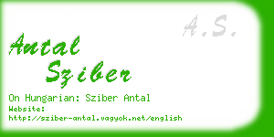antal sziber business card